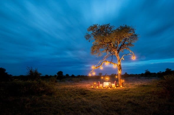 Dinner in the African Bush