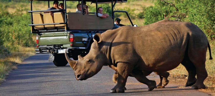 Kruger National Park, The Perfect African Safari