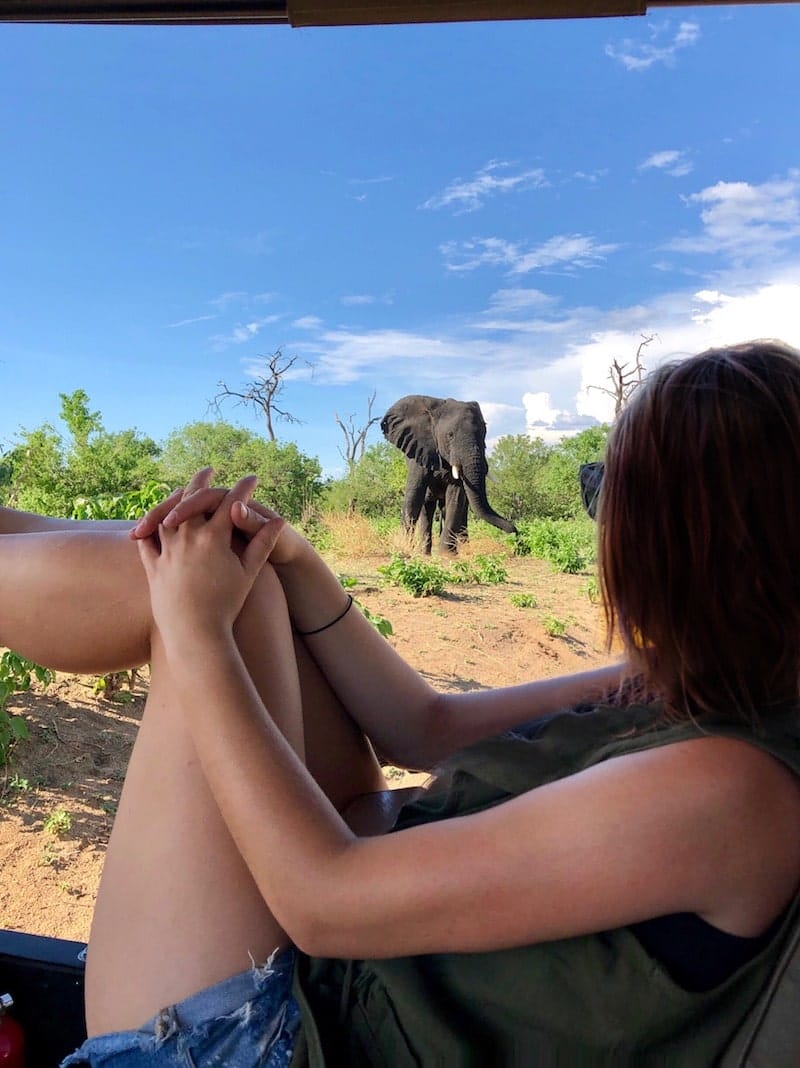 Heather enjoying her Chobe Botswana Safari | Photo credits: Heather Butler