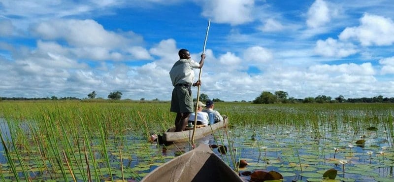 Mokoro safari in the Okavango Delta, Botswana.