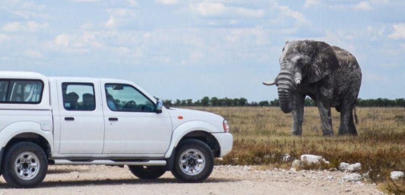 Self-drive adventure Namibia