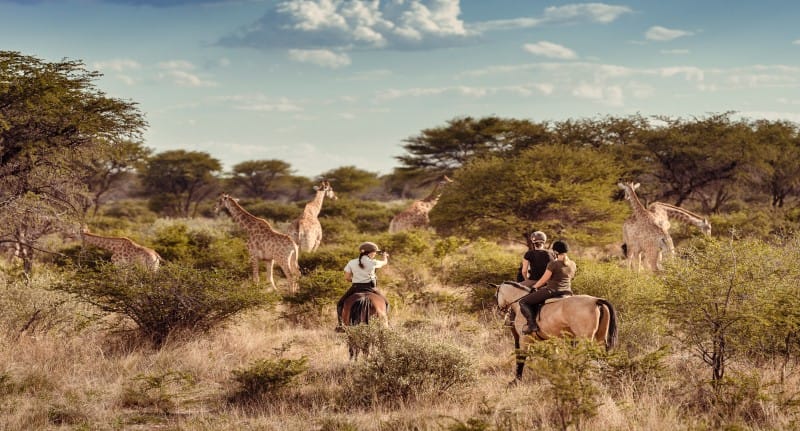 Horse Riding at Kambaku Lodge, Namibia