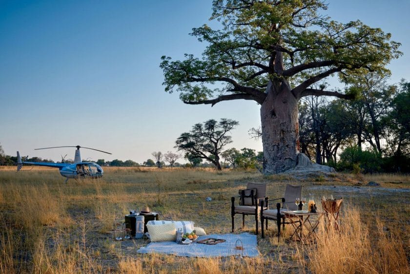 Picnic amongst Baobab Trees