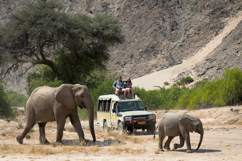 Game Drive in Namibia