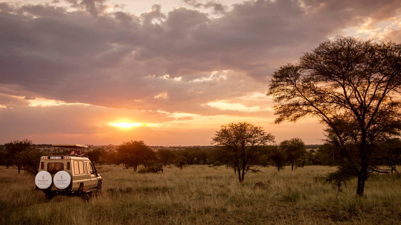 Why you should experience a morning safari in the Serengeti National ...