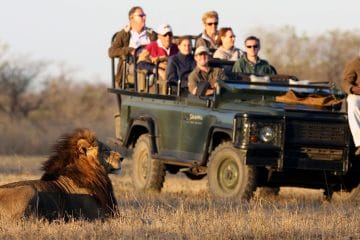 african safari safe for families