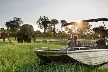safari reisen okavango delta