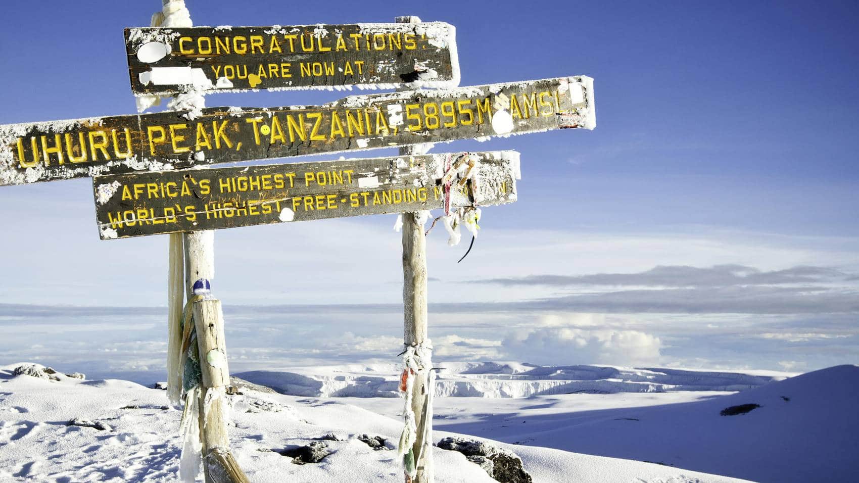Arrowhead Gum inerti Kilimanjaro Climb with the Machame Route (7 days) | Discover Africa Safaris