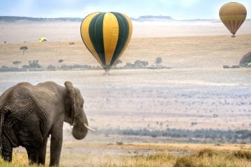 best safari in africa in january