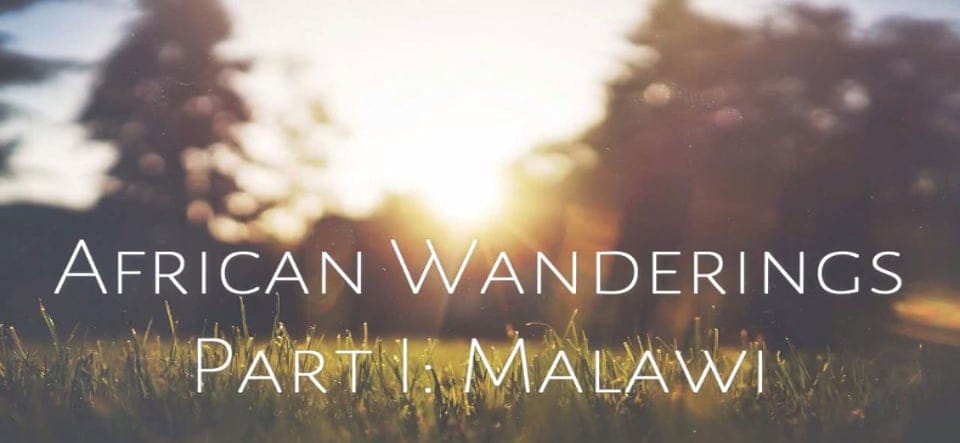 African wanderings – Andre’s Malawi safari experience