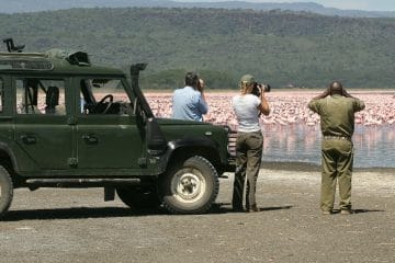 kenya holidays with safari