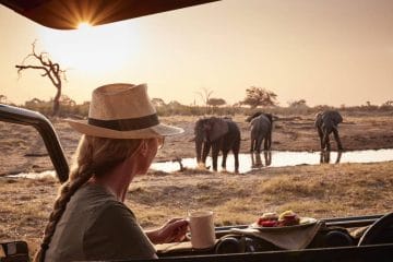 africa safari travel agency