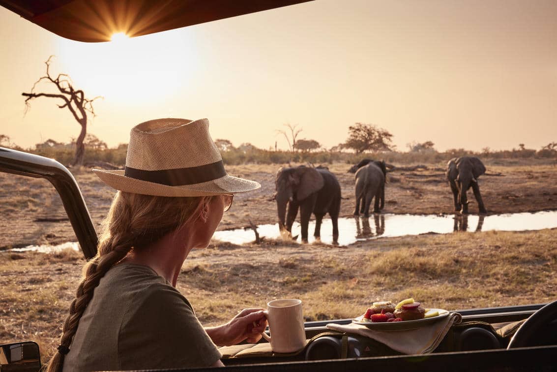 botswana safari booking