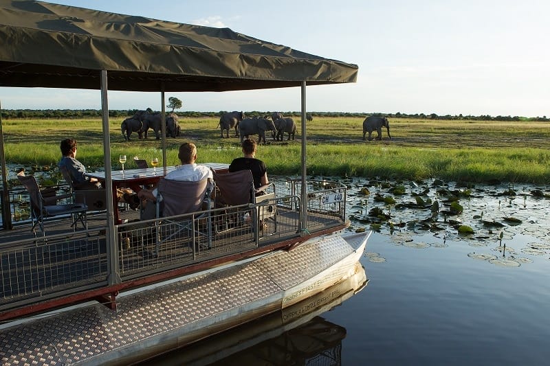Boat cruise safari on the Chobe River | Photo credits: Chobe Game Lodge