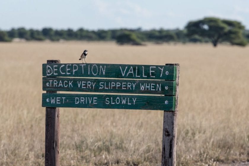 Deception Valley