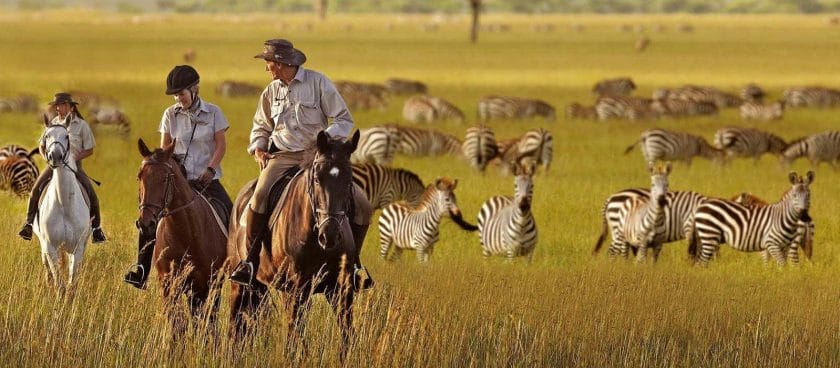 Horseback safari in West Kilimanjaro.