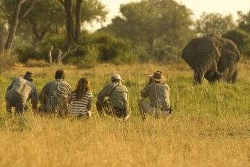 saguni safari lodge botswana