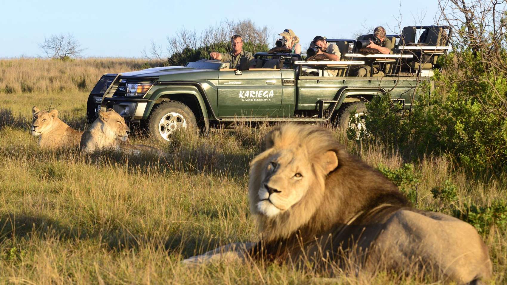 Big Five Safari Holidays In South Africa | Discover Africa