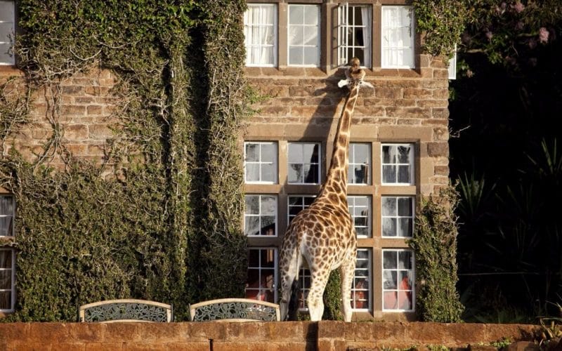 safari camp for sale kenya Giraffe Manor Exterior