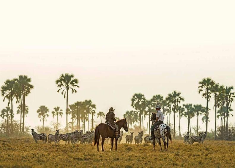 Horse Riding in the Makgadikgadi Pans