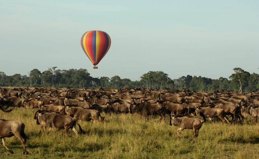 Hot-air balloon flies over the Great Migration.