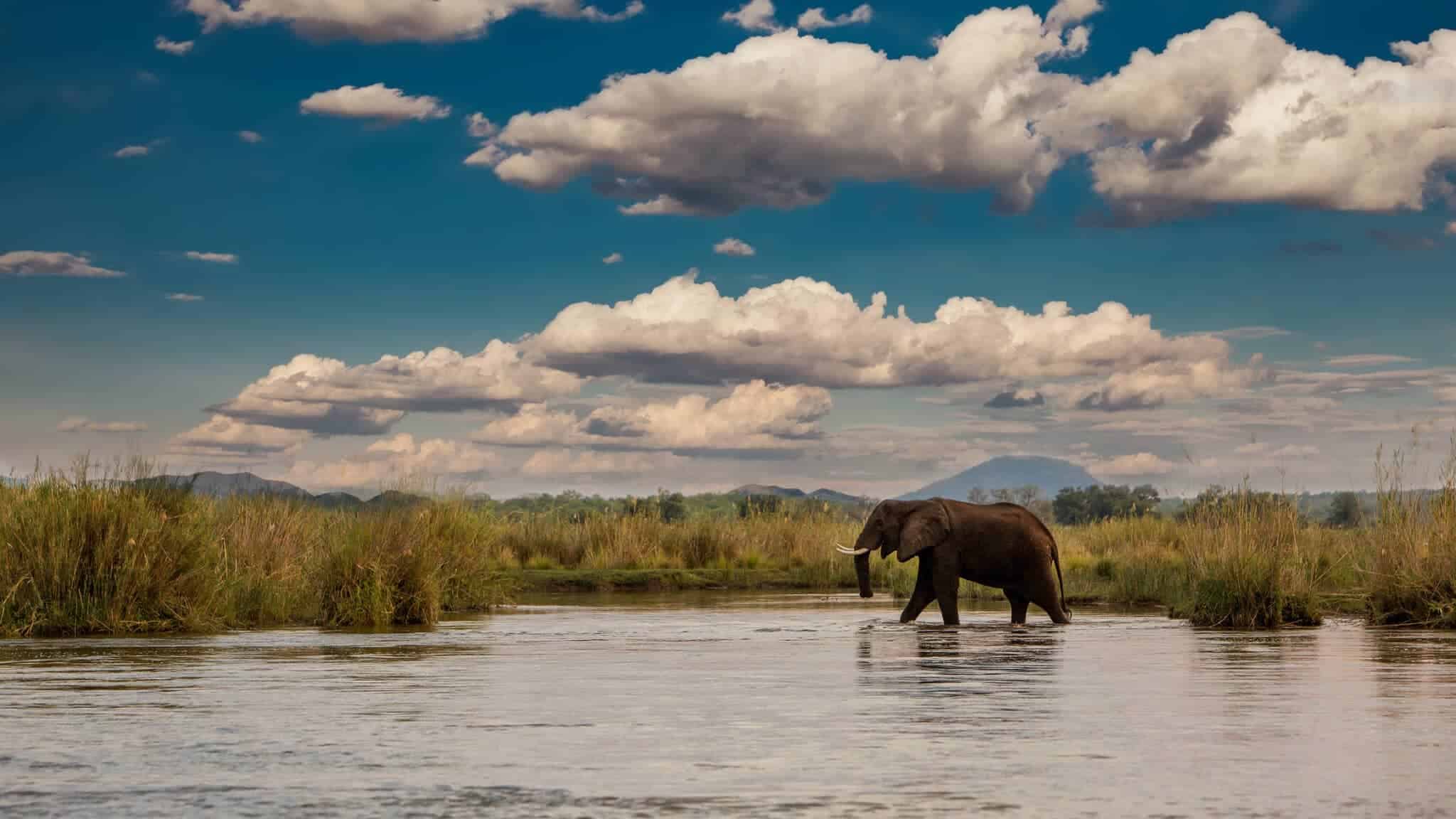 Lower Zambezi National Park | Discover Africa