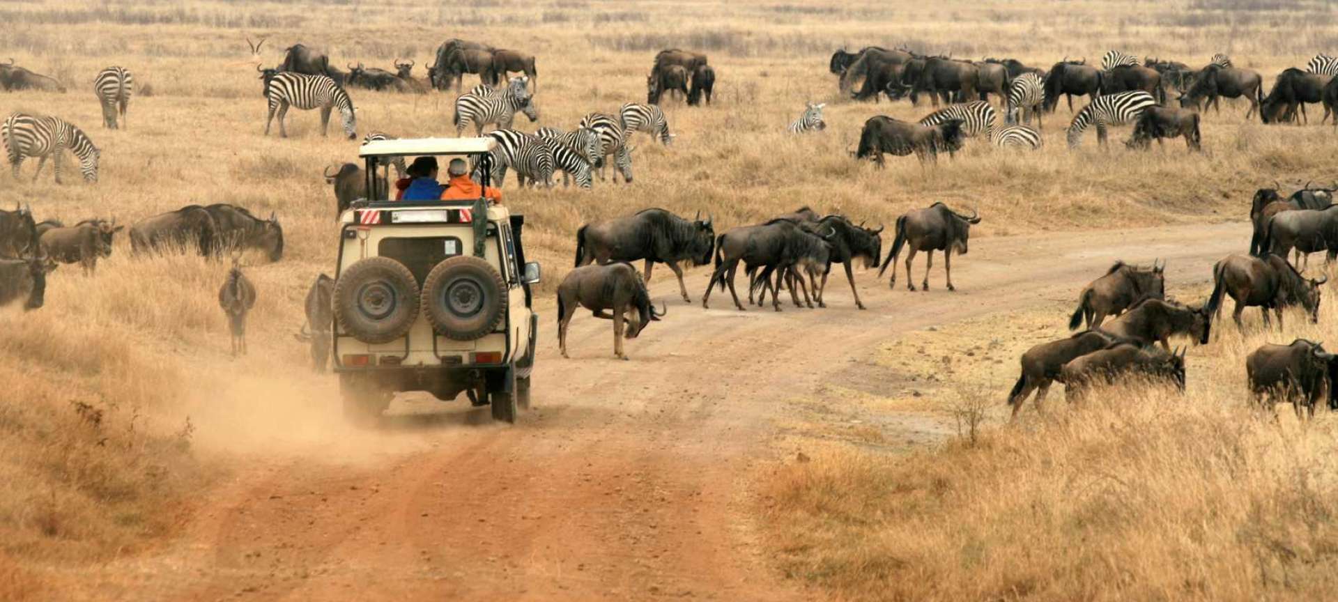 safari in tanzania in april