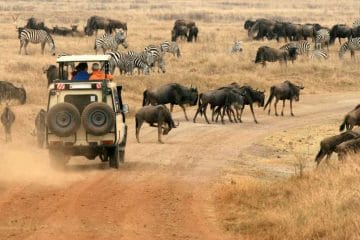 ngorongoro tanzania big five safari hotspot