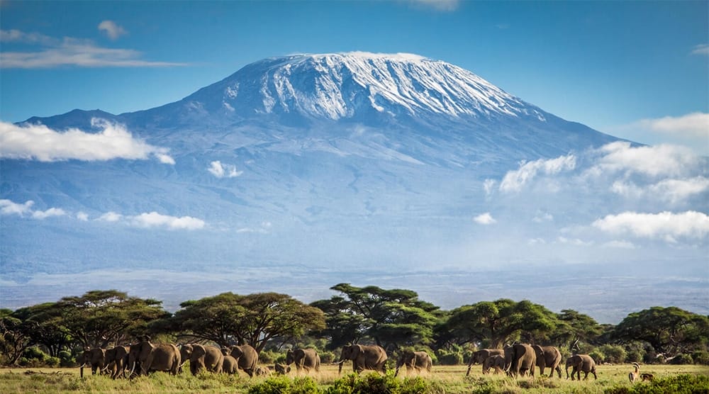 Interesting Facts About Mount Kilimanjaro | Discover Africa