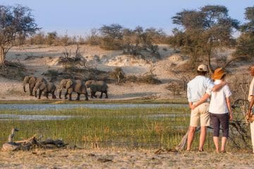 south africa safari in june