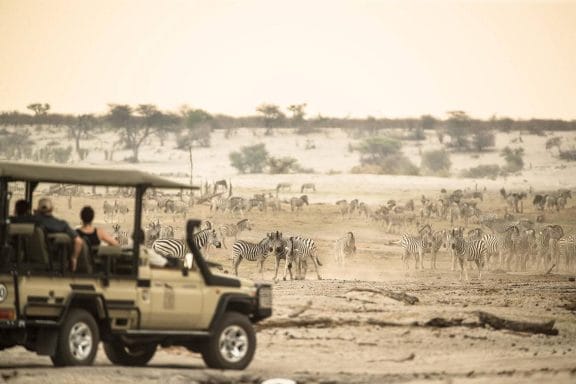 botswana safari 7 tage