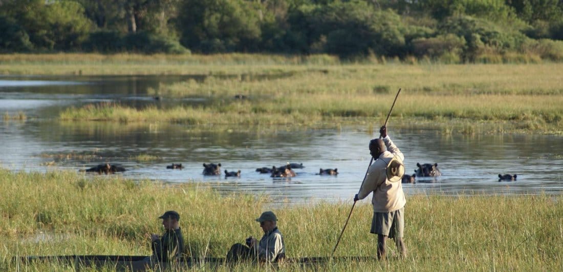 safari reisen okavango delta