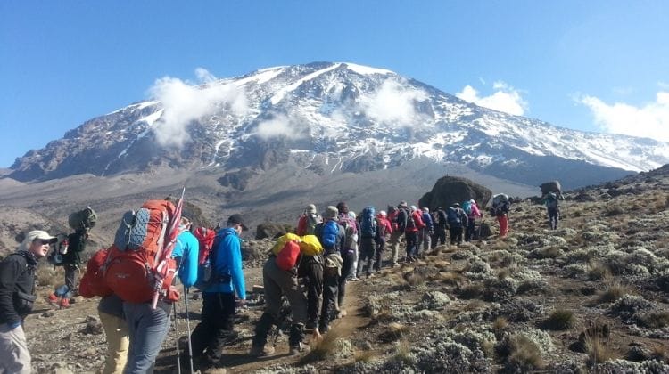 Views of Mount Kilimanjaro from Marangu, Tanzania.