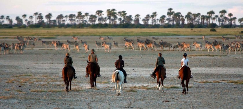 A Family on a Horseback Safari