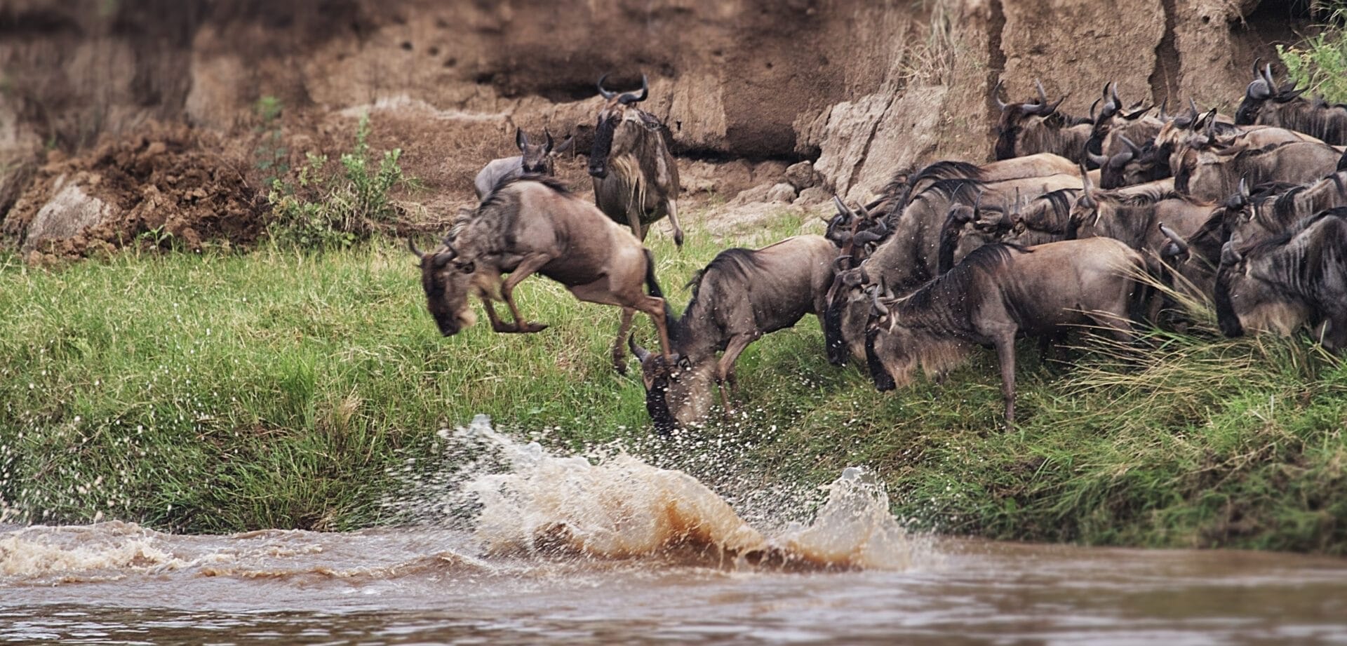Serengeti in October | Discover Africa Safaris