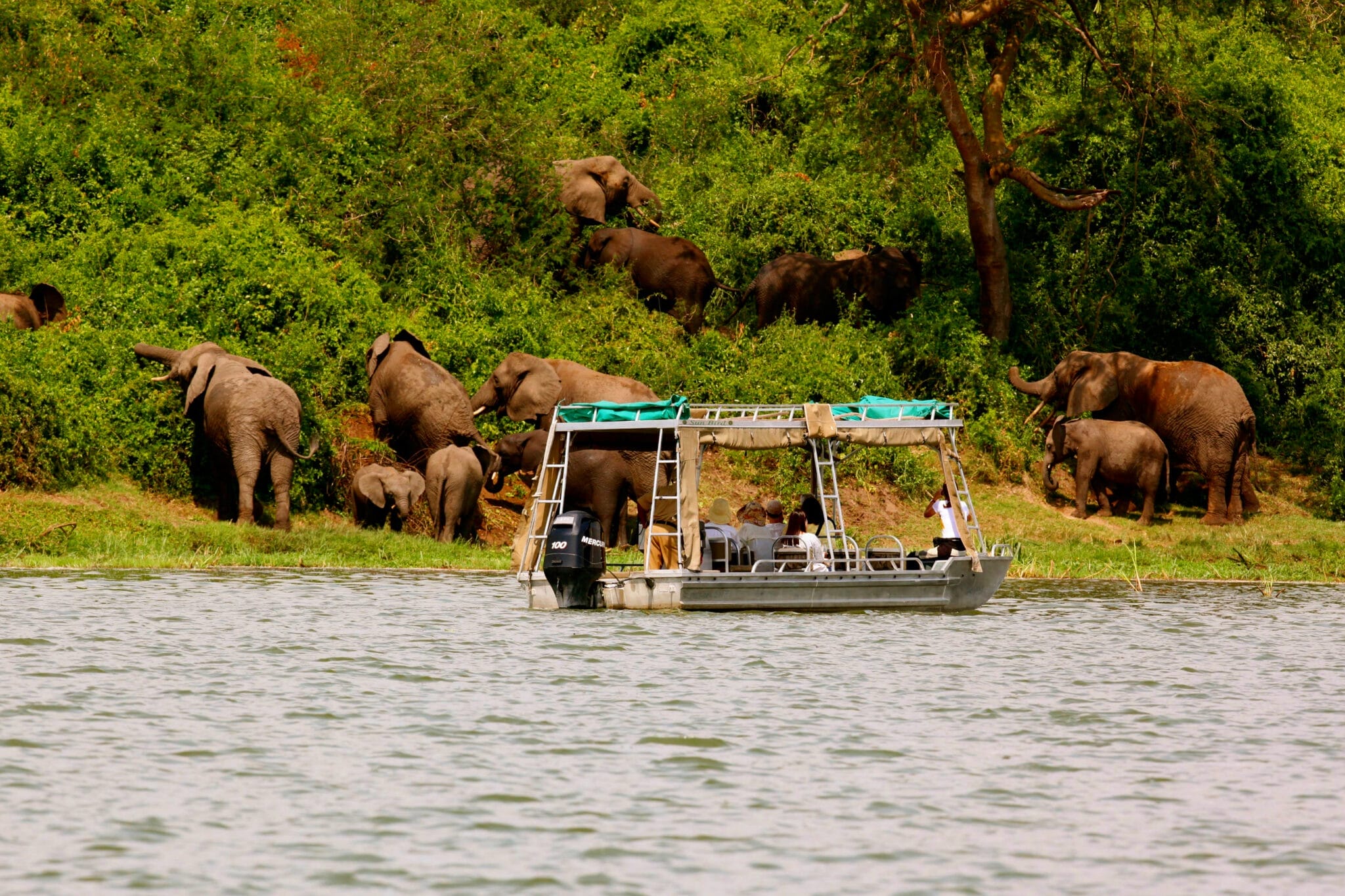 10 Reasons Why Uganda Should be Your Next Travel Destination