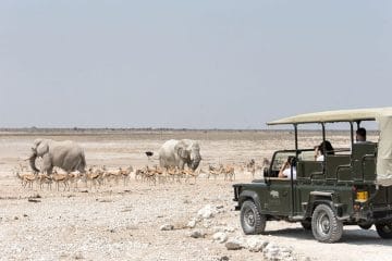game safari namibia