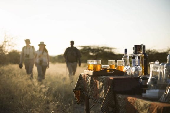 safaris en kenia y tanzania