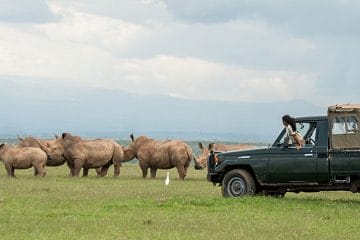 tanzania kenya safari