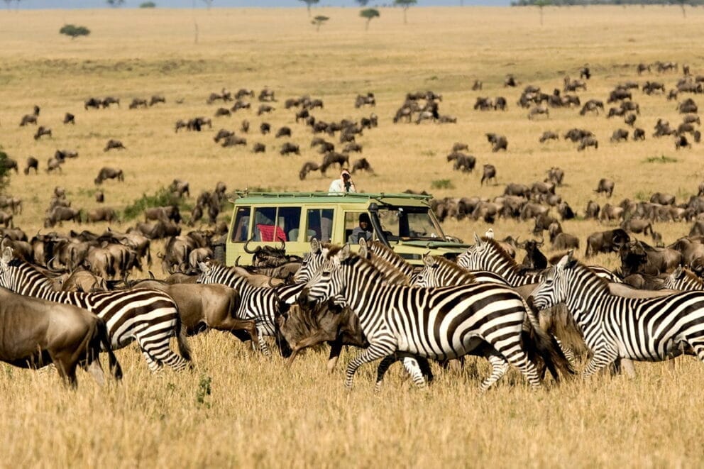 Migration safaris, holidays & tours | Discover Africa