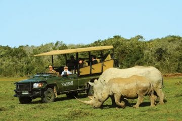 rhino safari africa