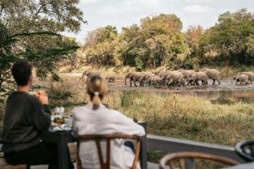 safari africa kruger park