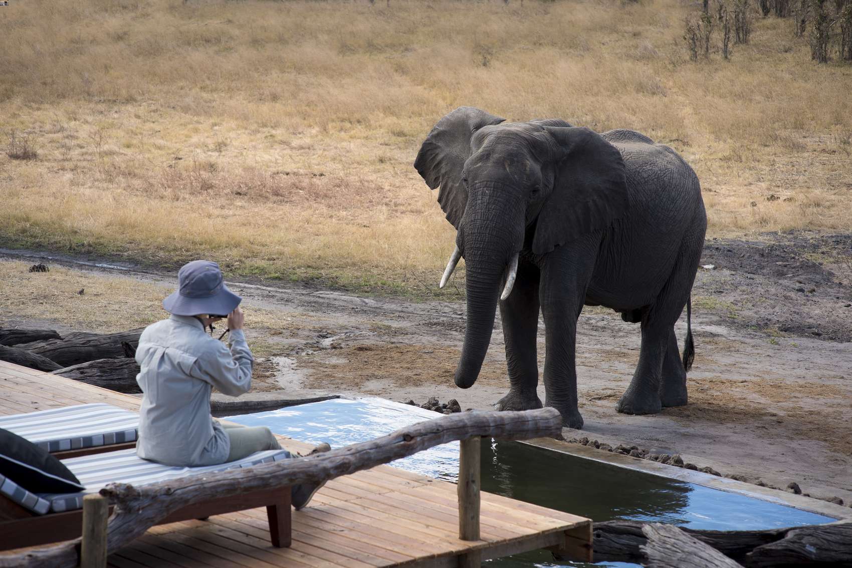 Zimbabwe Safari 101: A Canadian Tourist's Ultimate Guide - Safari Accommodation Options