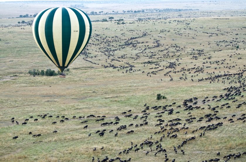 Hot air balloon over wildebeest herd, Tanzania.