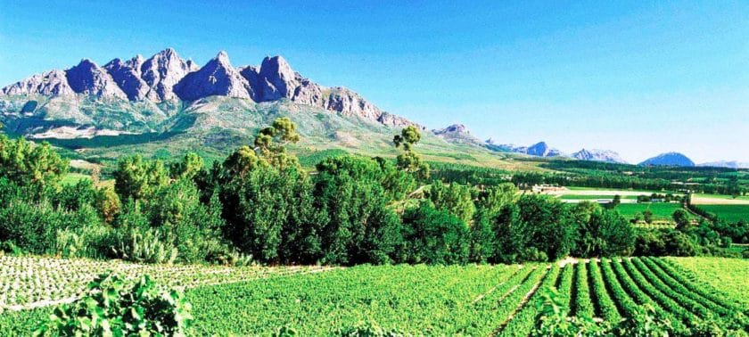 Charge your camera's batteries - the winelands offer incredible views and the best wines