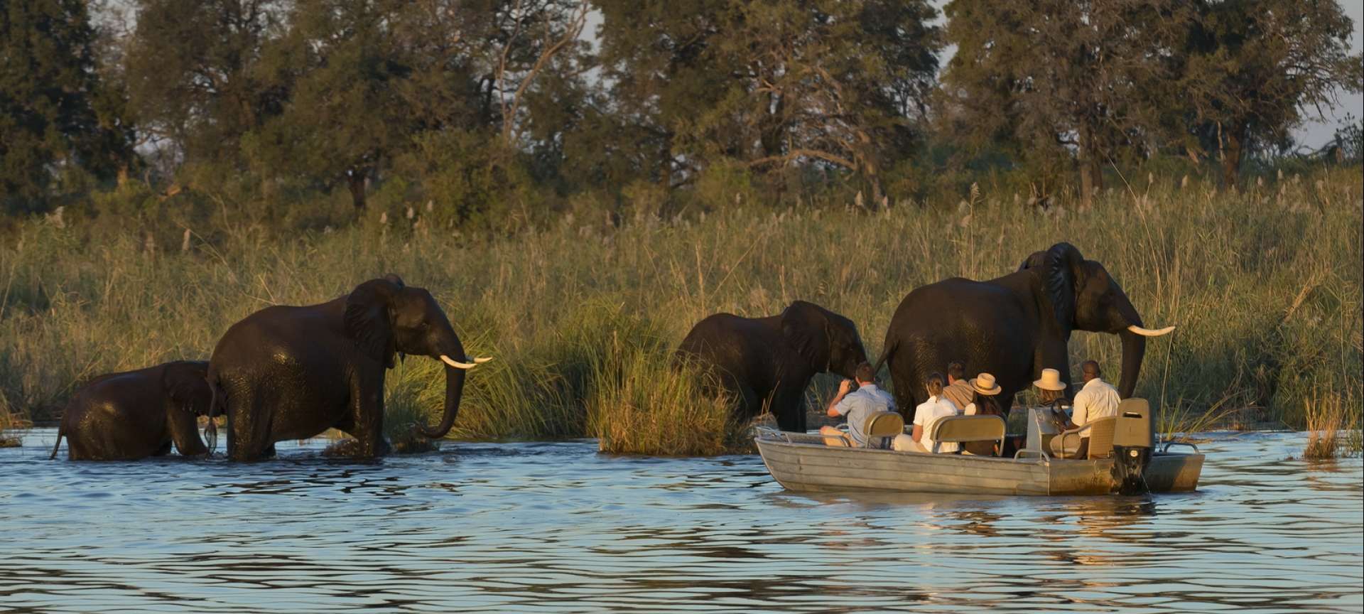 safaris to zambia