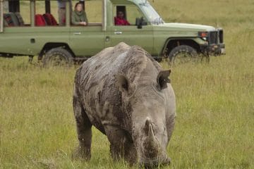 discovery tours south africa