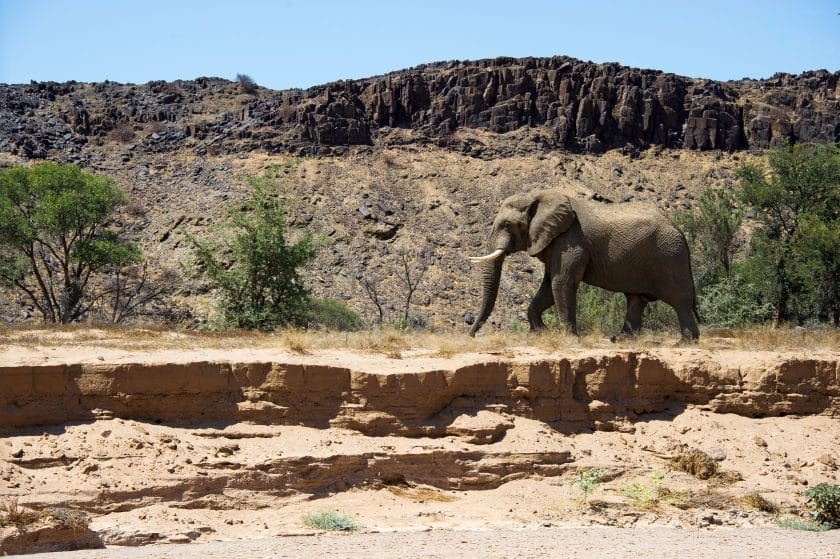 Damaraland Camp in Namibia