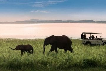best africa safari hotels