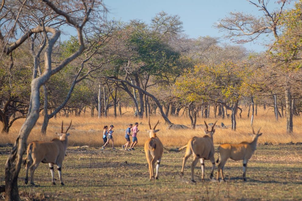 Lilayi Lodge Lilayi Lodge, Lusaka, Zambia | Discover Africa Safaris Lilayi Lodge Lilayi Lodge, Lusaka, Zambia | Discover Africa Safaris